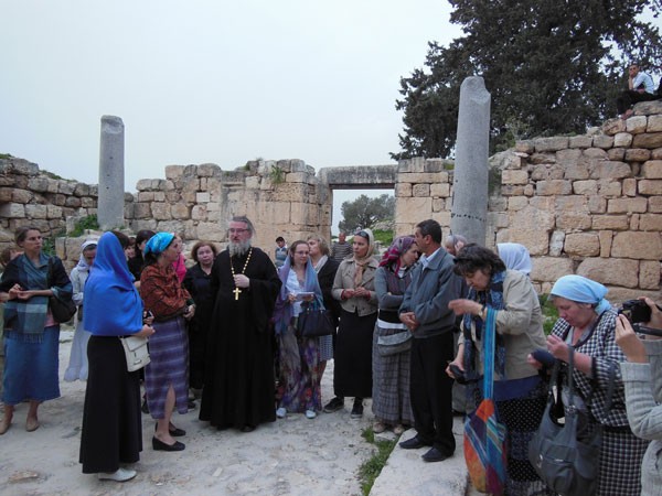 29