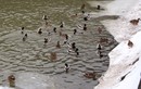 Водоотводной канал