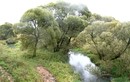 Река Воря при пересечении с Ярославским шоссе