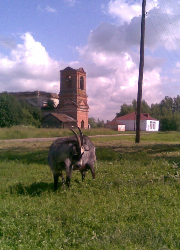 Знаменская церковь. Пашутино
