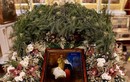 Рождество Христово. 7 января 2026 г.