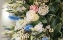 День памяти свв. Симеона Богоприимца и прор. Анны